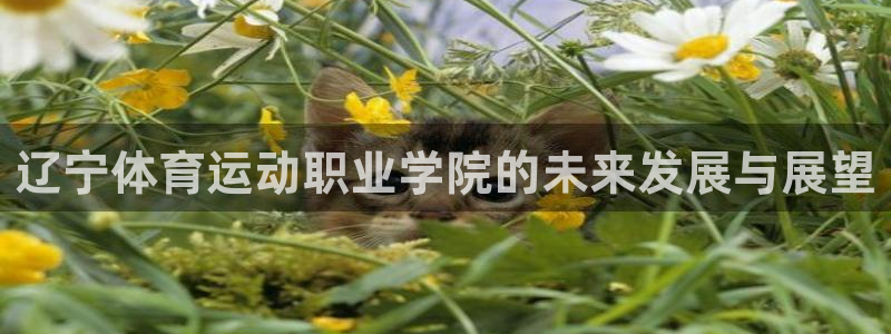 蚂蚁体育是正品吗：辽宁体育运动职业学院的未来发展与展望