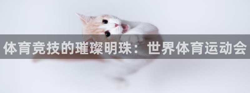 蚂蚁体育是正品吗：体育竞技的璀璨明珠：世界体育运动会