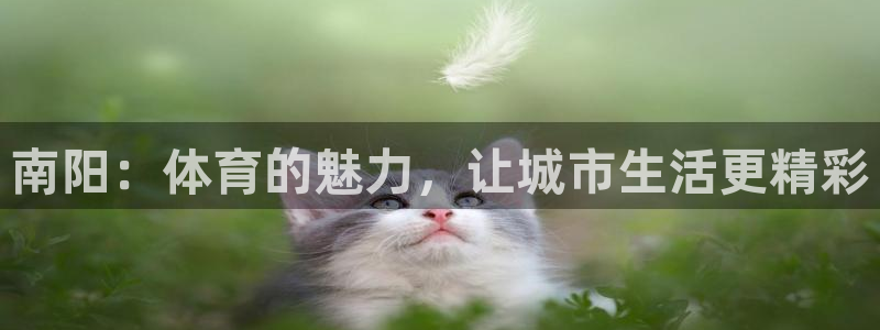 蚂蚁体育免费进入入口：南阳：体育的魅力，让城市生活更精彩