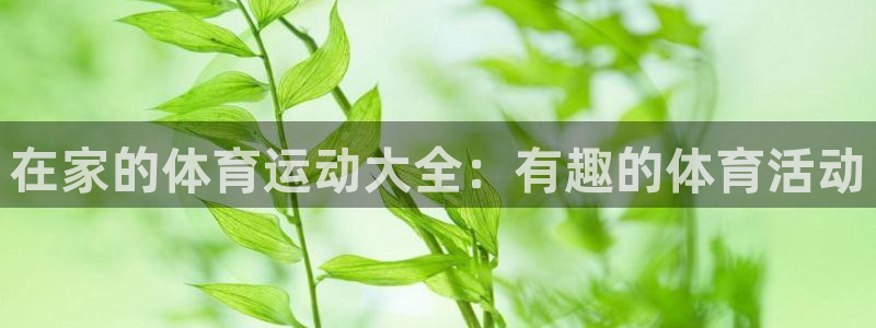蚂蚁体育是正品吗：在家的体育运动大全：有趣的体育活动