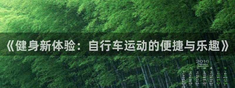 蚂蚁体育为什么现在没有直播了：《健身新体验：自行车运动的便捷与乐趣》