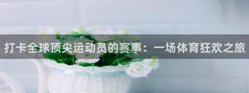 蚂蚁体育营销中心王鹏：打卡全球顶尖运动员的赛事：一场体育狂欢之旅