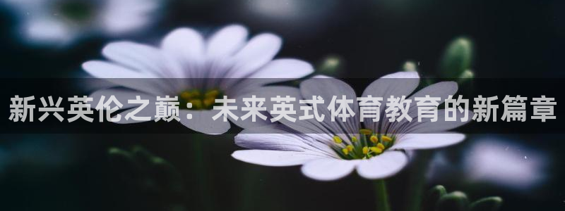 蚂蚁体育免费下载安装：新兴英伦之巅：未来英式体育教育的新篇章