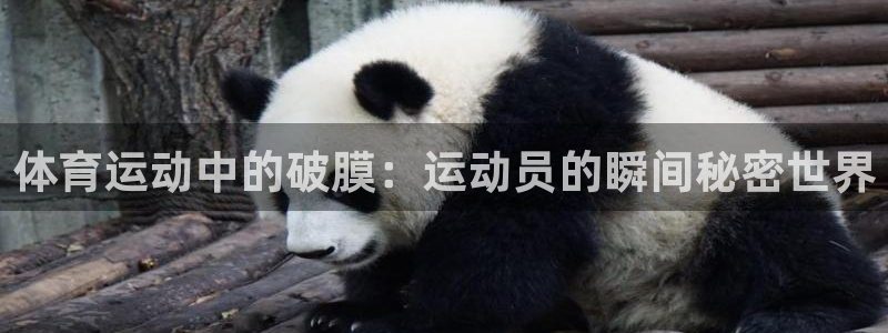 蚂蚁体育nba在线观看：体育运动中的破膜：运动员的瞬间秘密世界