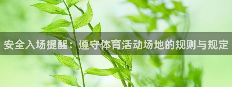 蚂蚁体育免费：安全入场提醒：遵守体育活动场地的规则与规定
