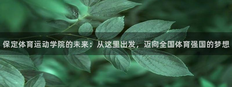 蚂蚁体育篮球：保定体育运动学院的未来：从这里出发，迈向全国体育强国的梦想