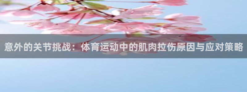 蚂蚁体育买的是正品吗：意外的关节挑战：体育运动中的肌肉拉伤原因与应对策略