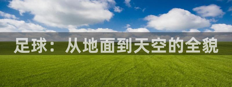 蚂蚁体育要付费观看吗?：足球：从地面到天空的全貌