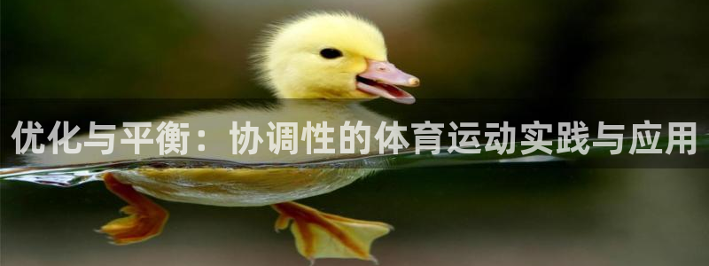 蚂蚁体育买的是正品吗：优化与平衡：协调性的体育运动实践与应用