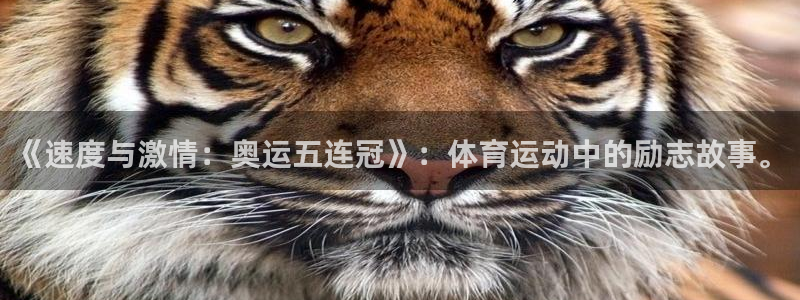 蚂蚁体育看球下载最新版本安装：《速度与激情：奥运五连冠》：体育运动中的励志故事。