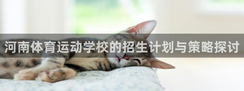 蚂蚁体育cba：河南体育运动学校的招生计划与策略探讨
